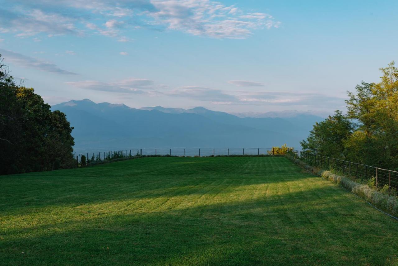 Vazisubani Estate Hotel Eksteriør billede